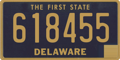 DE license plate 618455