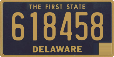 DE license plate 618458