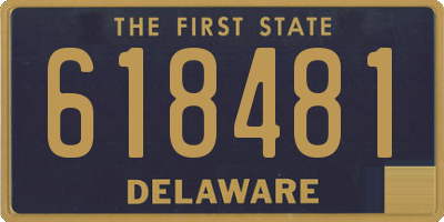 DE license plate 618481