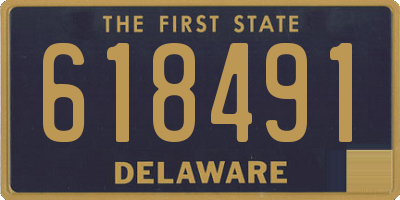 DE license plate 618491