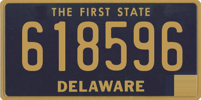 DE license plate 618596