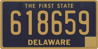 DE license plate 618659