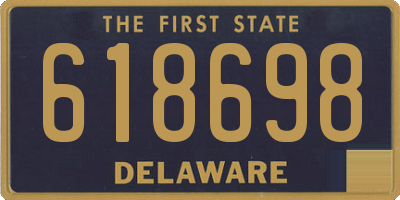 DE license plate 618698