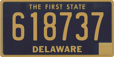 DE license plate 618737