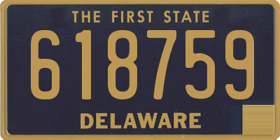 DE license plate 618759
