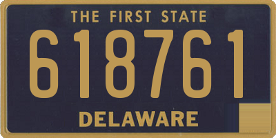 DE license plate 618761