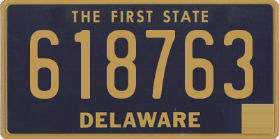 DE license plate 618763