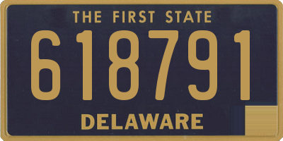 DE license plate 618791
