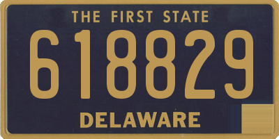 DE license plate 618829
