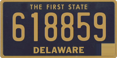 DE license plate 618859