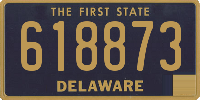 DE license plate 618873