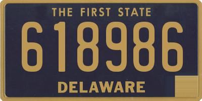 DE license plate 618986