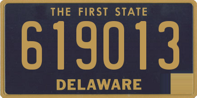DE license plate 619013