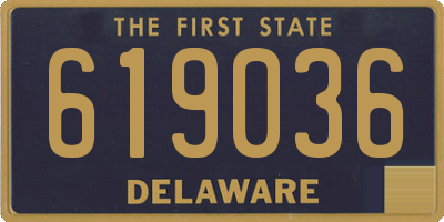 DE license plate 619036