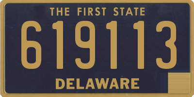 DE license plate 619113