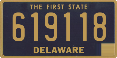 DE license plate 619118