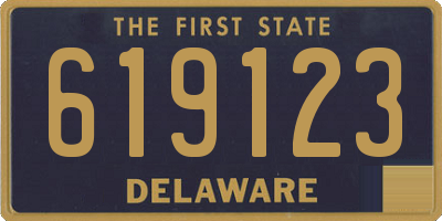 DE license plate 619123