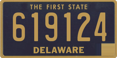 DE license plate 619124