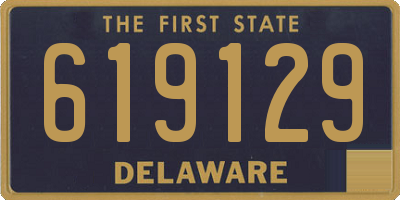 DE license plate 619129