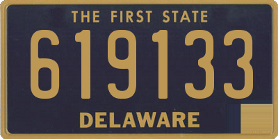 DE license plate 619133