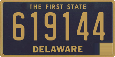 DE license plate 619144