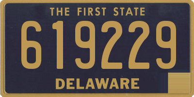 DE license plate 619229