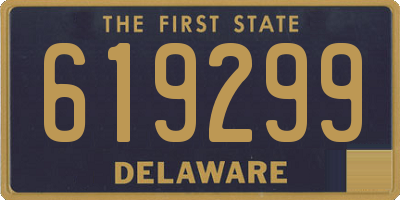DE license plate 619299