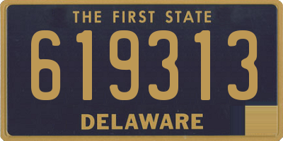 DE license plate 619313