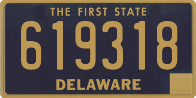 DE license plate 619318