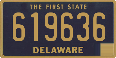 DE license plate 619636