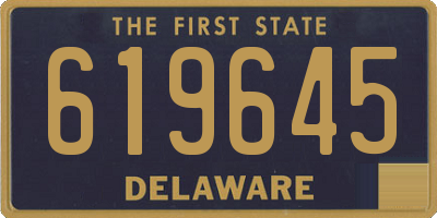 DE license plate 619645