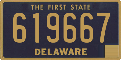 DE license plate 619667