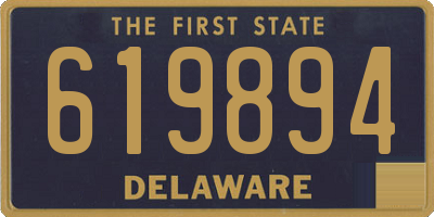 DE license plate 619894