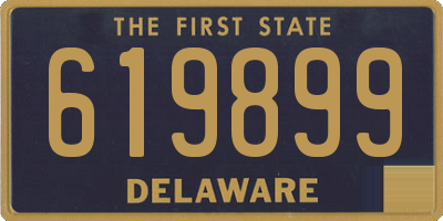 DE license plate 619899