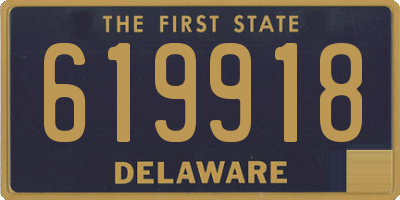DE license plate 619918