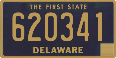 DE license plate 620341