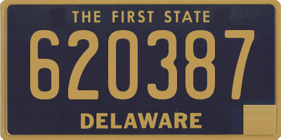 DE license plate 620387