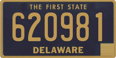 DE license plate 620981