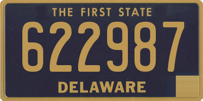 DE license plate 622987