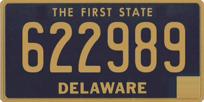 DE license plate 622989