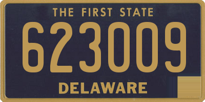 DE license plate 623009