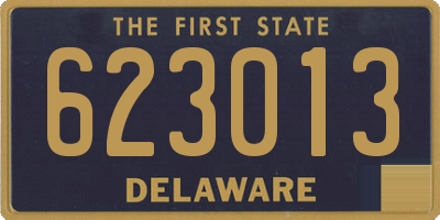 DE license plate 623013