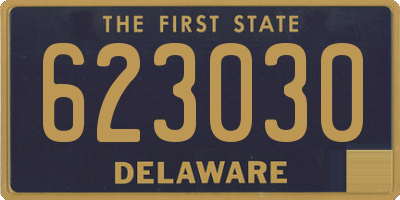 DE license plate 623030