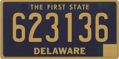 DE license plate 623136