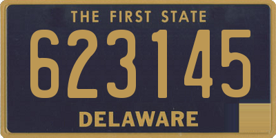 DE license plate 623145