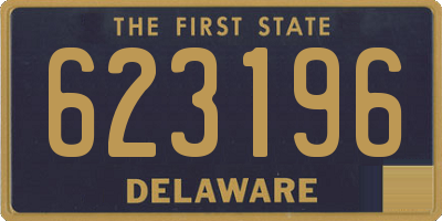 DE license plate 623196