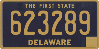 DE license plate 623289