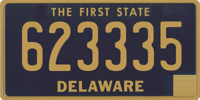 DE license plate 623335