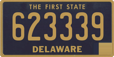 DE license plate 623339
