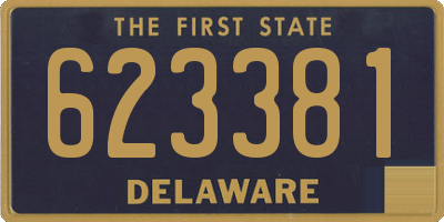 DE license plate 623381